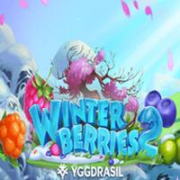  Winterberries 2